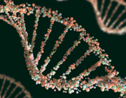 Farmacogenetica: klinische relevantie van genetische variabiliteit in de perioperatieve fase